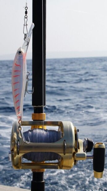 sea fishing lure