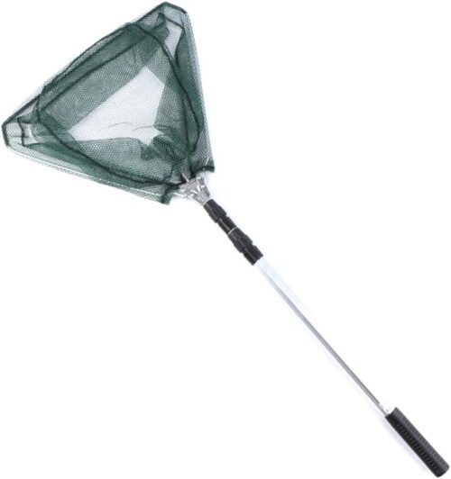 landing net for sardines
