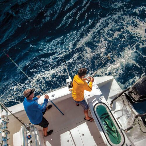 cannon optimum 10 ts (tournament series) electric downrigger cannon optimum 10 ts (tournament series) electric downrigger